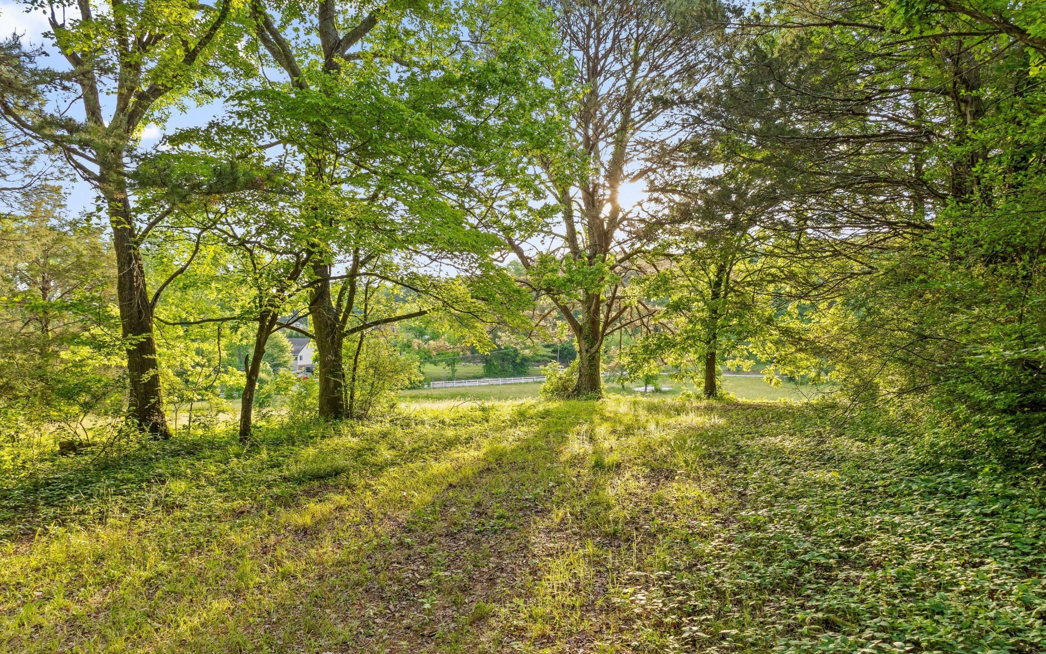 5513 Old Hunter Road Ooltewah TN 37363