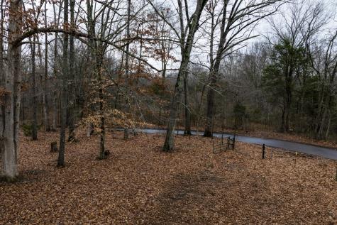 2106 Castelow Greenbrier TN 37073