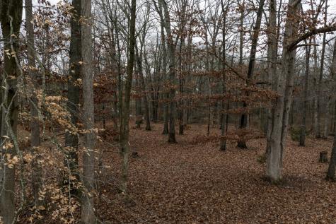 2106 Castelow Greenbrier TN 37073