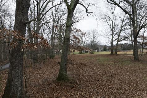 2106 Castelow Greenbrier TN 37073