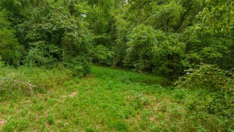 1277 Center Star Road Columbia TN 38401