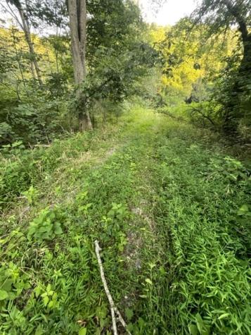 1277 Center Star Road Columbia TN 38401