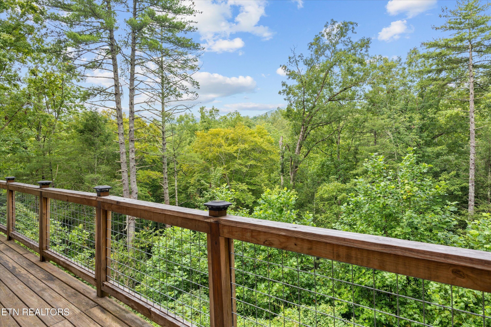 123 Cutter Gap Road Townsend TN 37882