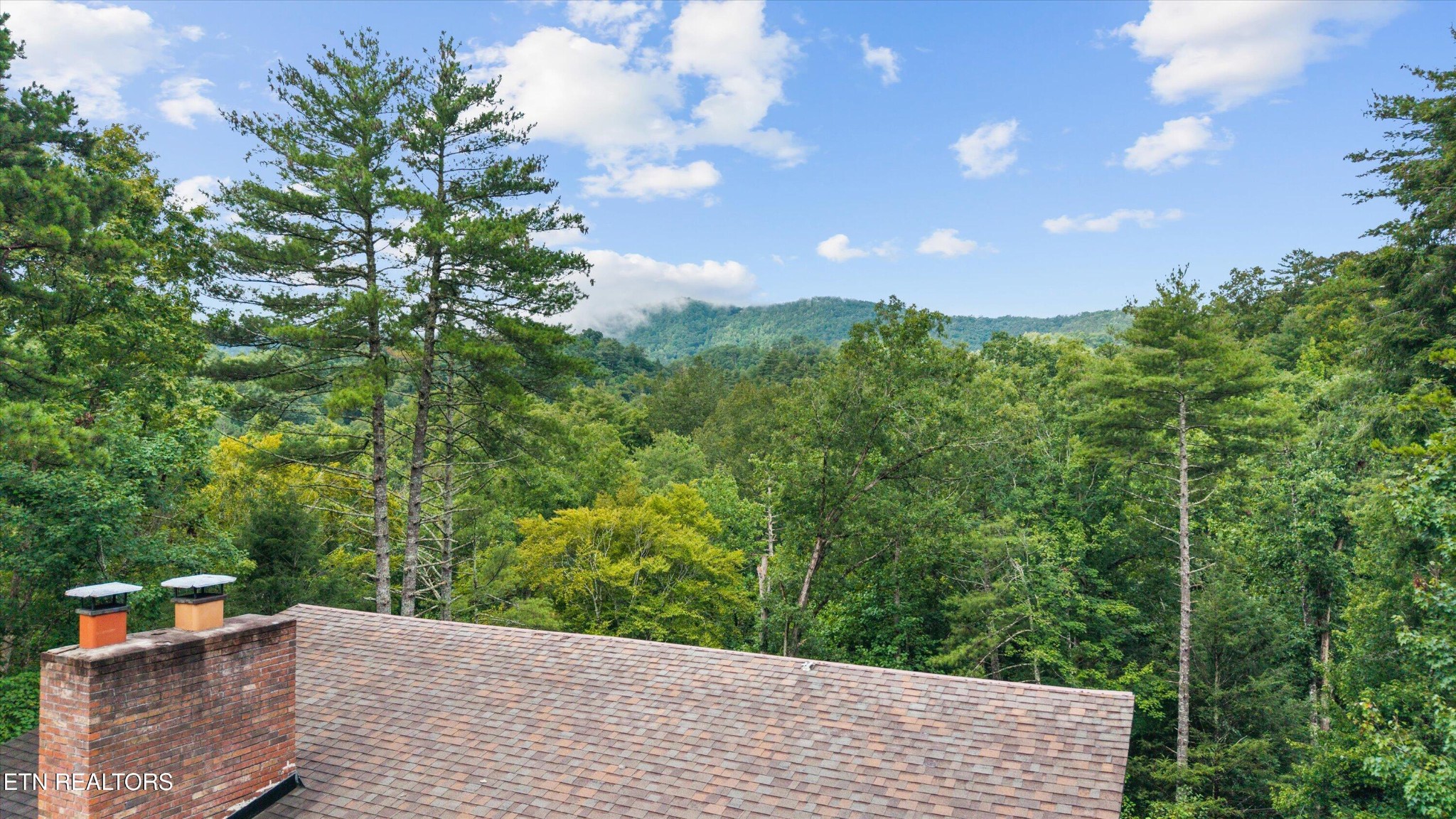 123 Cutter Gap Road Townsend TN 37882