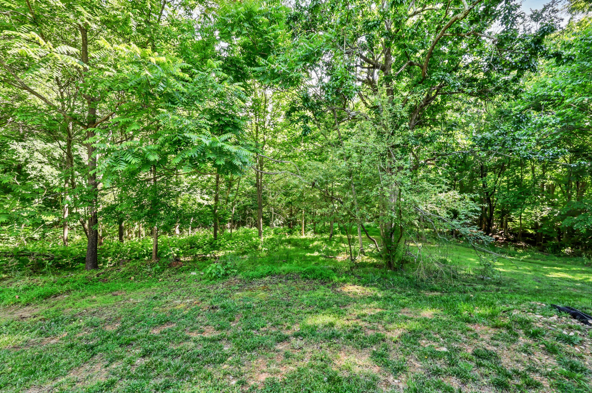 1550 Griffin Circle Clarksville TN 37040