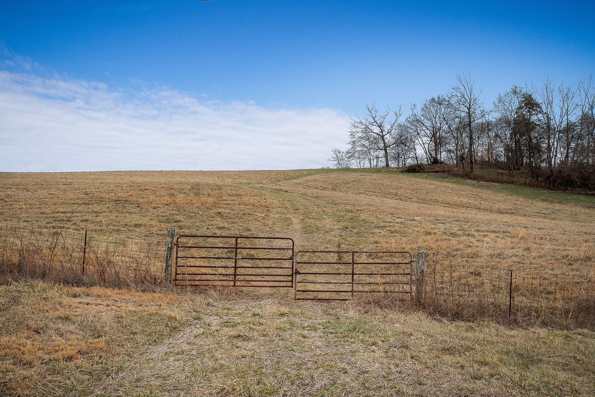 0 Caney Fork Road Quebeck TN 38579