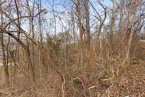 0 Orlando Drive Chattanooga TN 37415