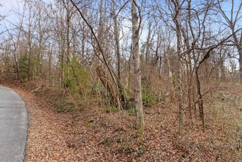 0 Orlando Drive Chattanooga TN 37415