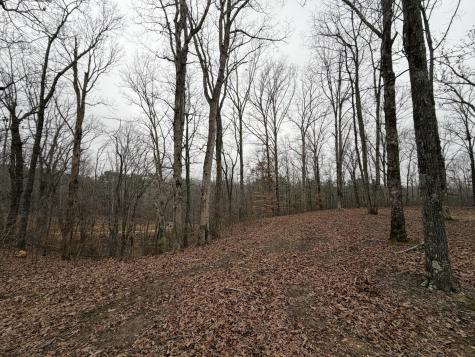 0 Highway 50 East Centerville TN 37033