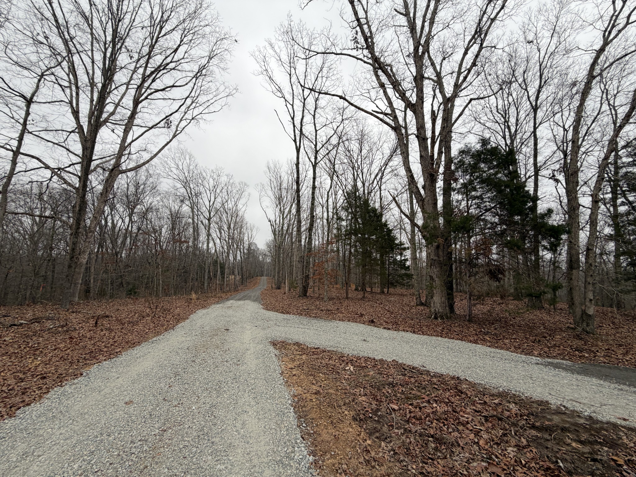 0 Highway 50 East Centerville TN 37033