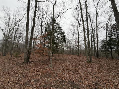 0 Highway 50 East Centerville TN 37033