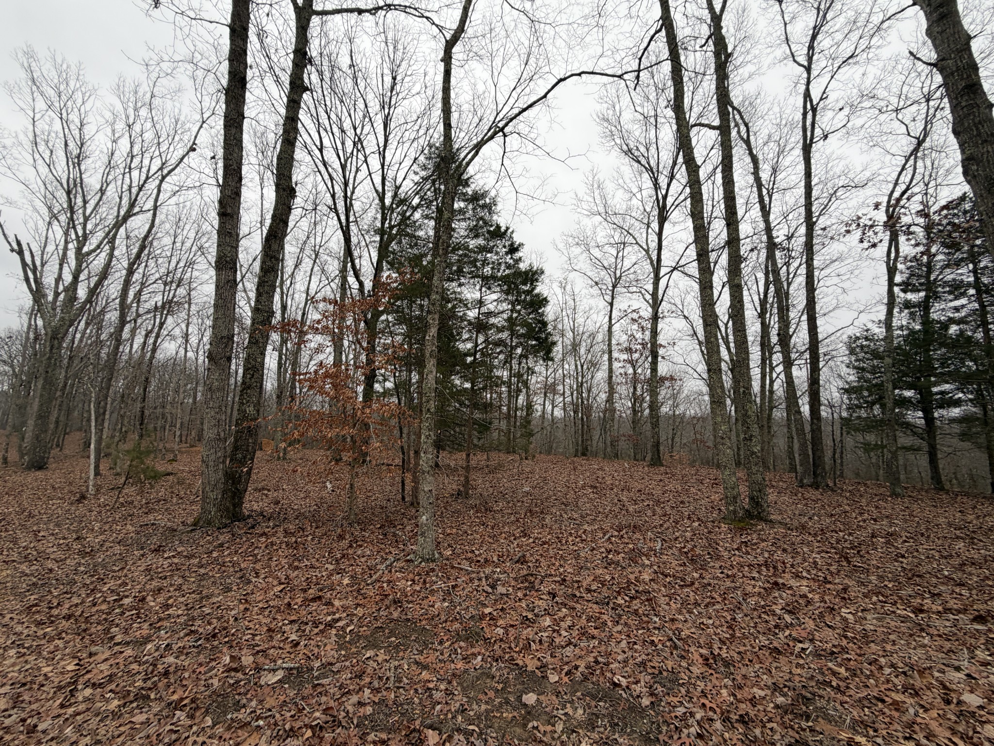 0 Highway 50 East Centerville TN 37033