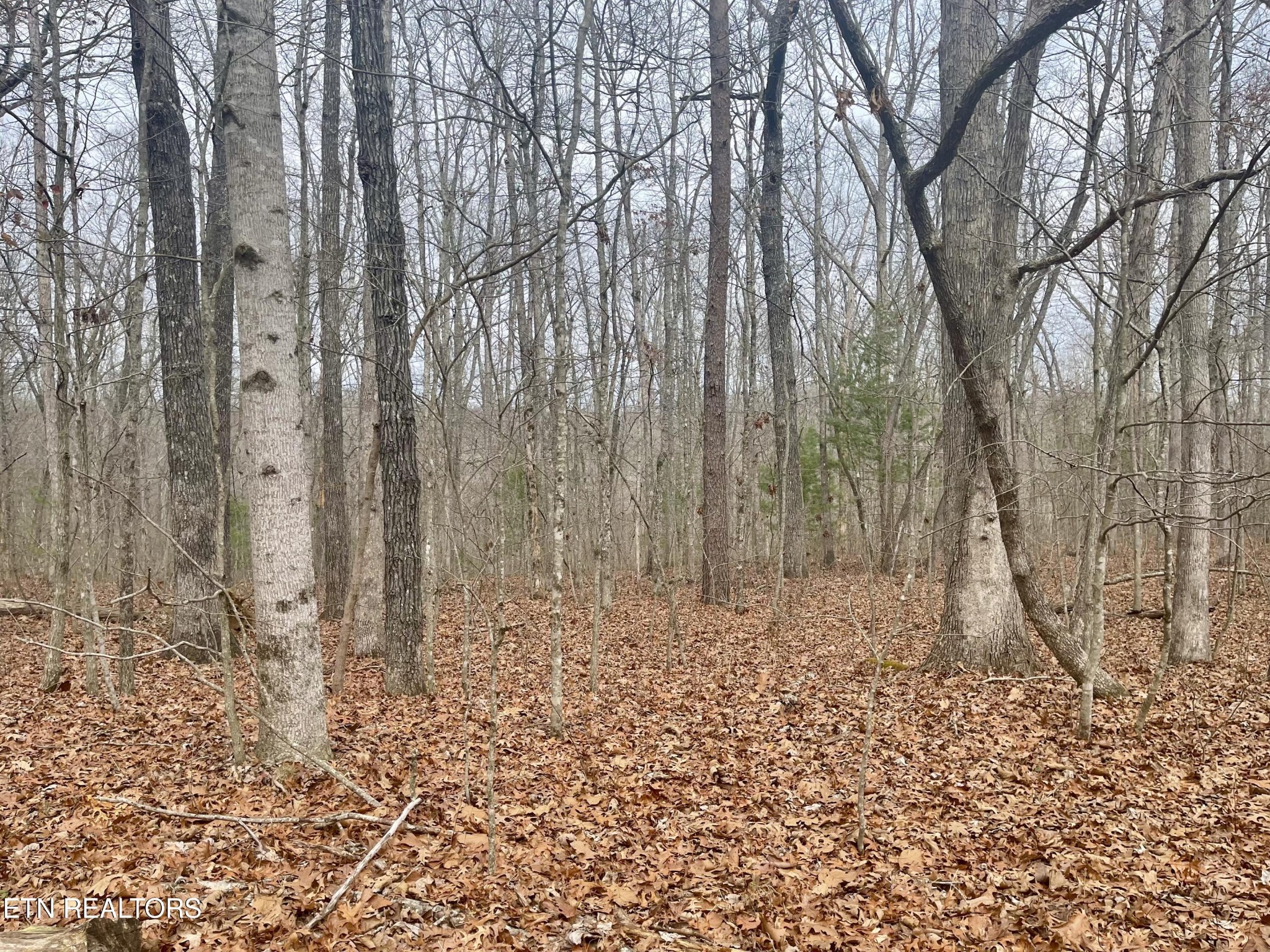 33 Leeds Terrace Crossville TN 38558
