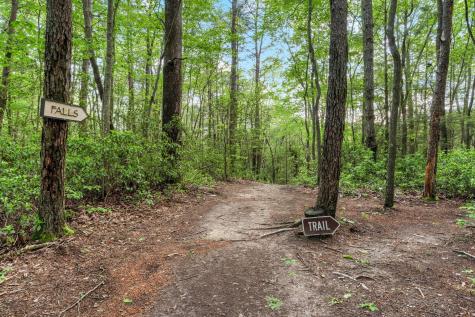 314 Deer Lick Trail Monteagle TN 37356