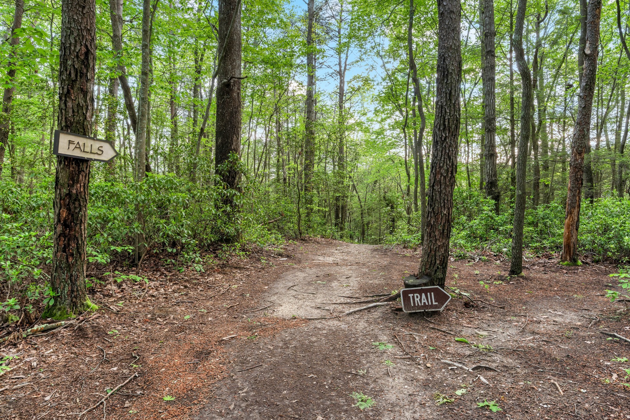 314 Deer Lick Trail Monteagle TN 37356