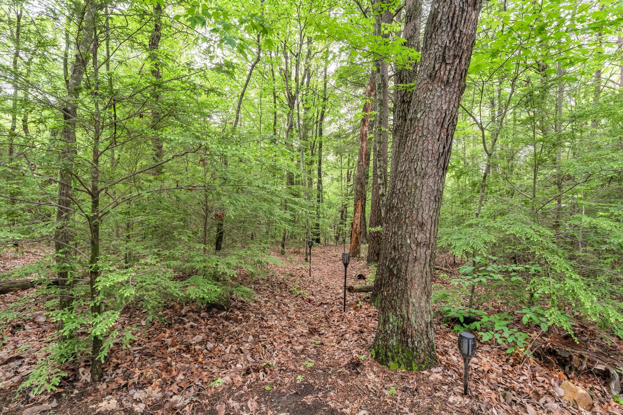 314 Deer Lick Trail Monteagle TN 37356