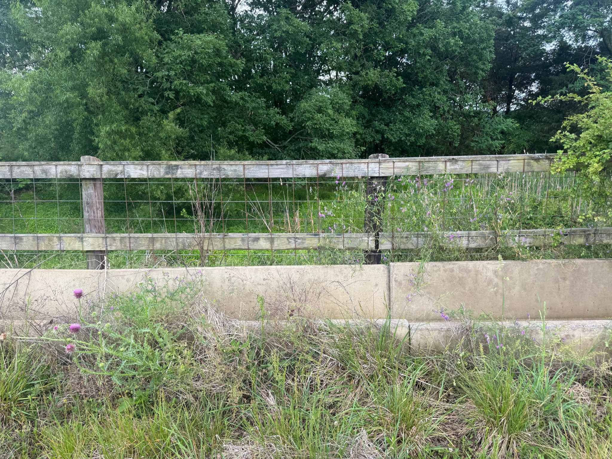 0 Hummingbird Lane Celina TN 38551