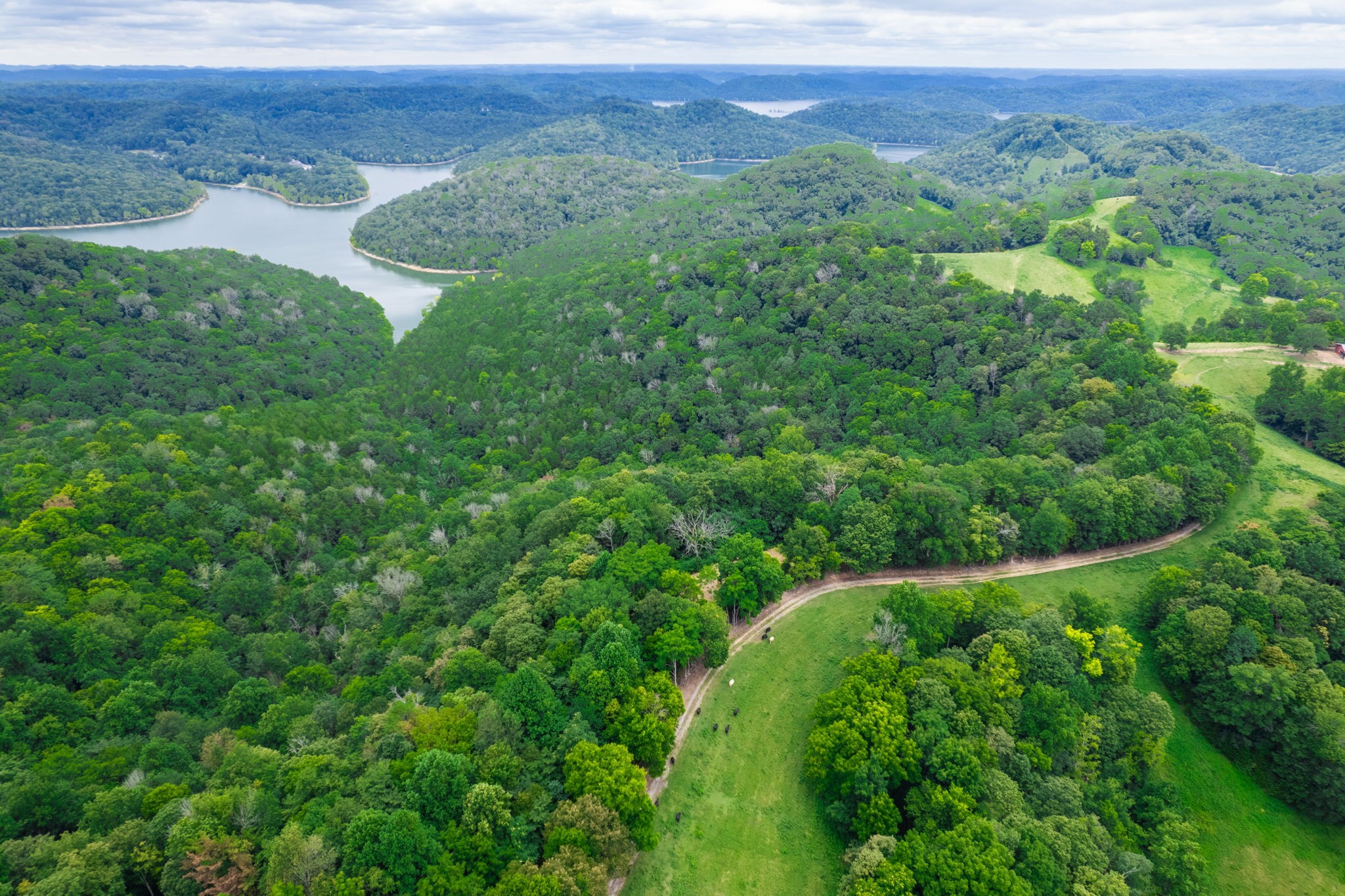 4445 Hurricane Ridge Road Smithville TN 37166