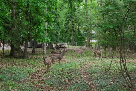 123 Trail East Drive Hendersonville TN 37075