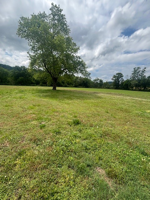 1369 Old Campbellsville Road Pulaski TN 38478