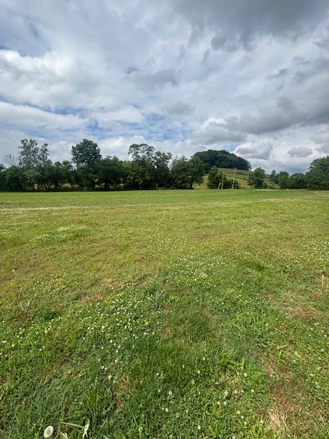 1369 Old Campbellsville Road Pulaski TN 38478
