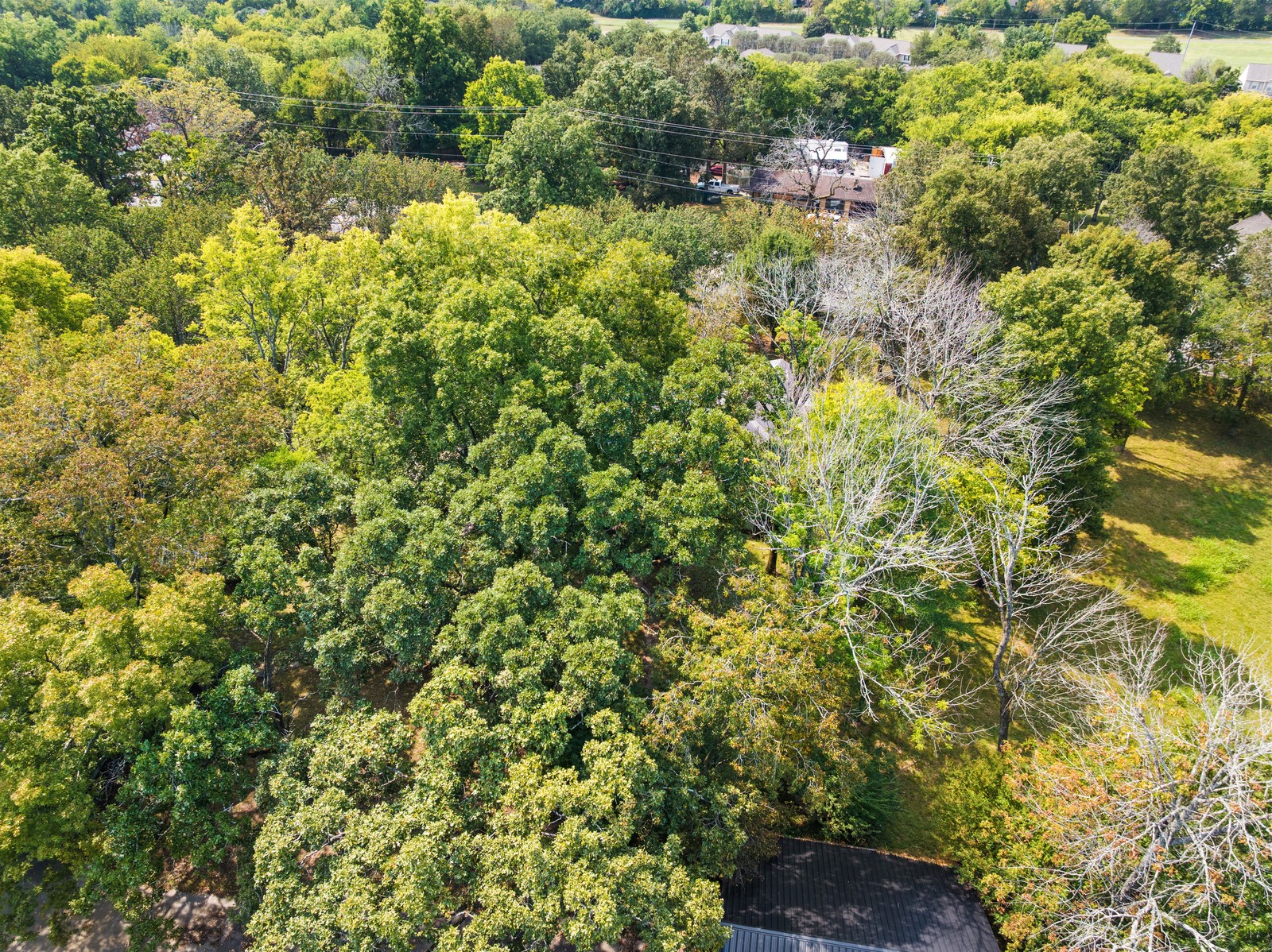 2516 Old Smith Springs Road Nashville TN 37217
