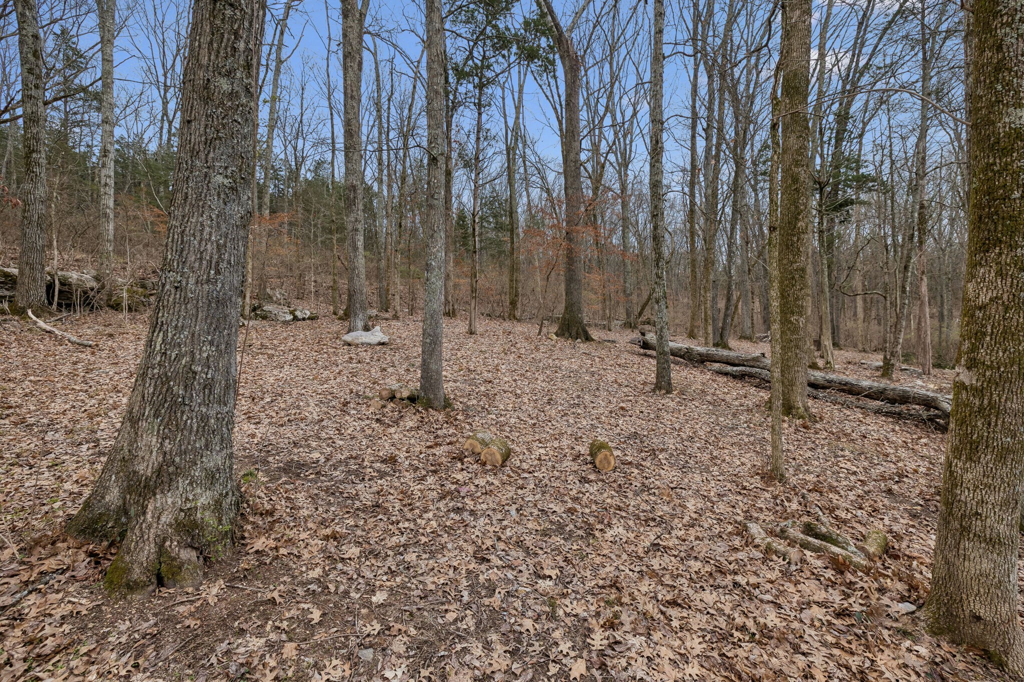 3726 Benders Ferry Road Mount Juliet TN 37122