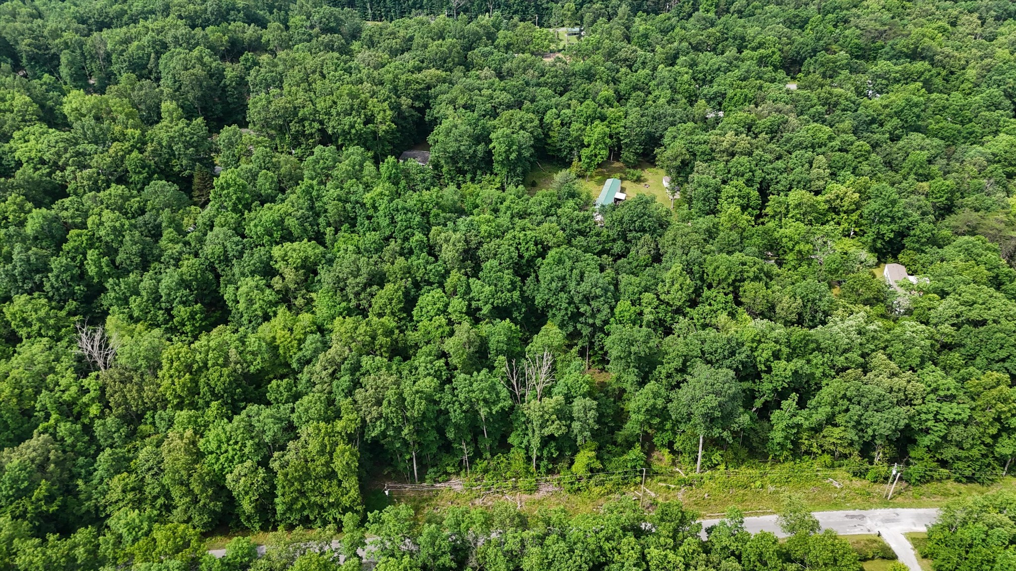 3029 Nocatee Trace Crossville TN 38572