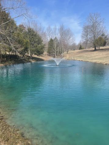 499 Wildheart Lane Sewanee TN 37375