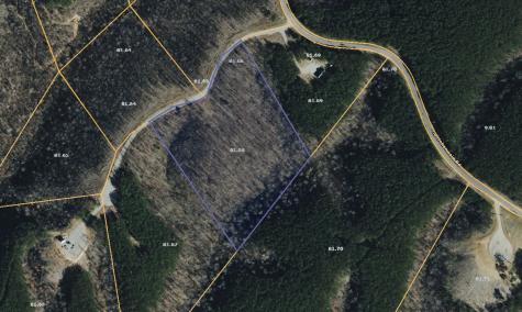 113 Chestnut Drive Linden TN 37096