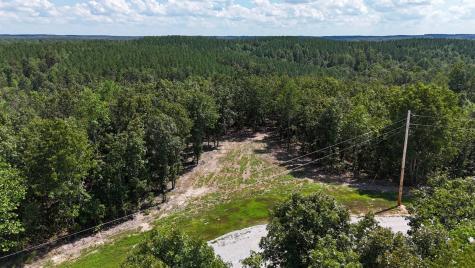 113 Chestnut Drive Linden TN 37096