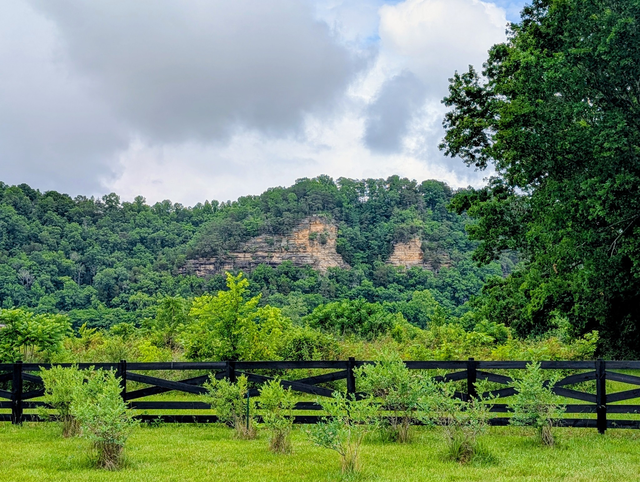 1050 Sunrise Circle Ashland City TN 37015