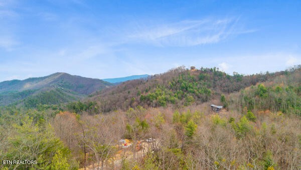 514 Percussion Court Walland TN 37886