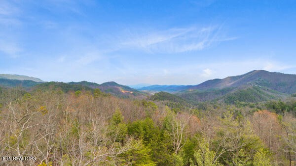 514 Percussion Court Walland TN 37886