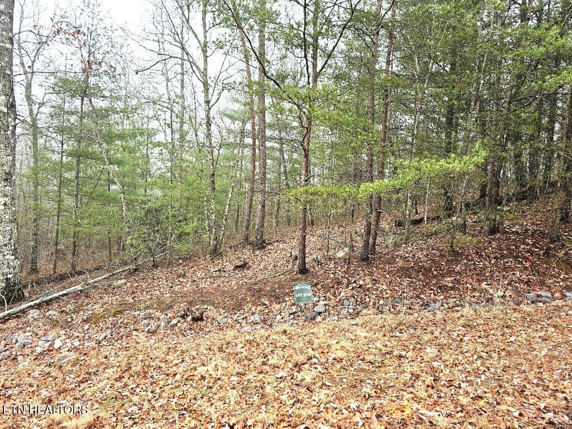 514 Percussion Court Walland TN 37886