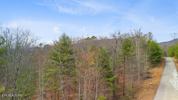 514 Percussion Court Walland TN 37886