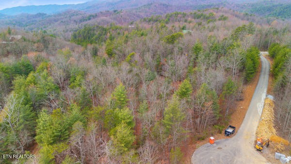 514 Percussion Court Walland TN 37886