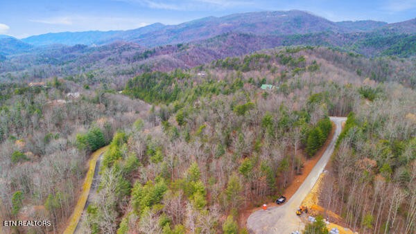 514 Percussion Court Walland TN 37886