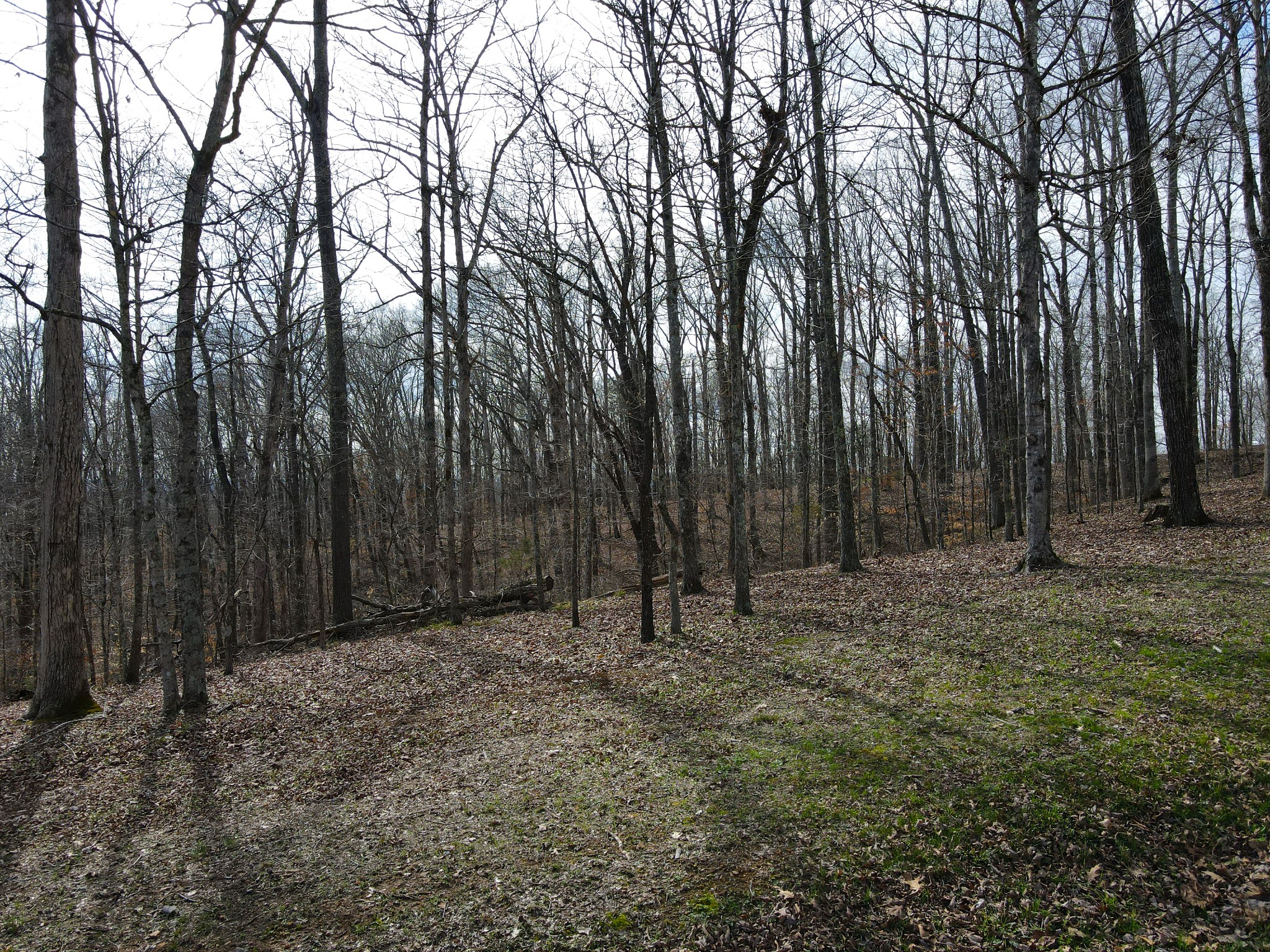 317 Highway 100 Centerville TN 37033