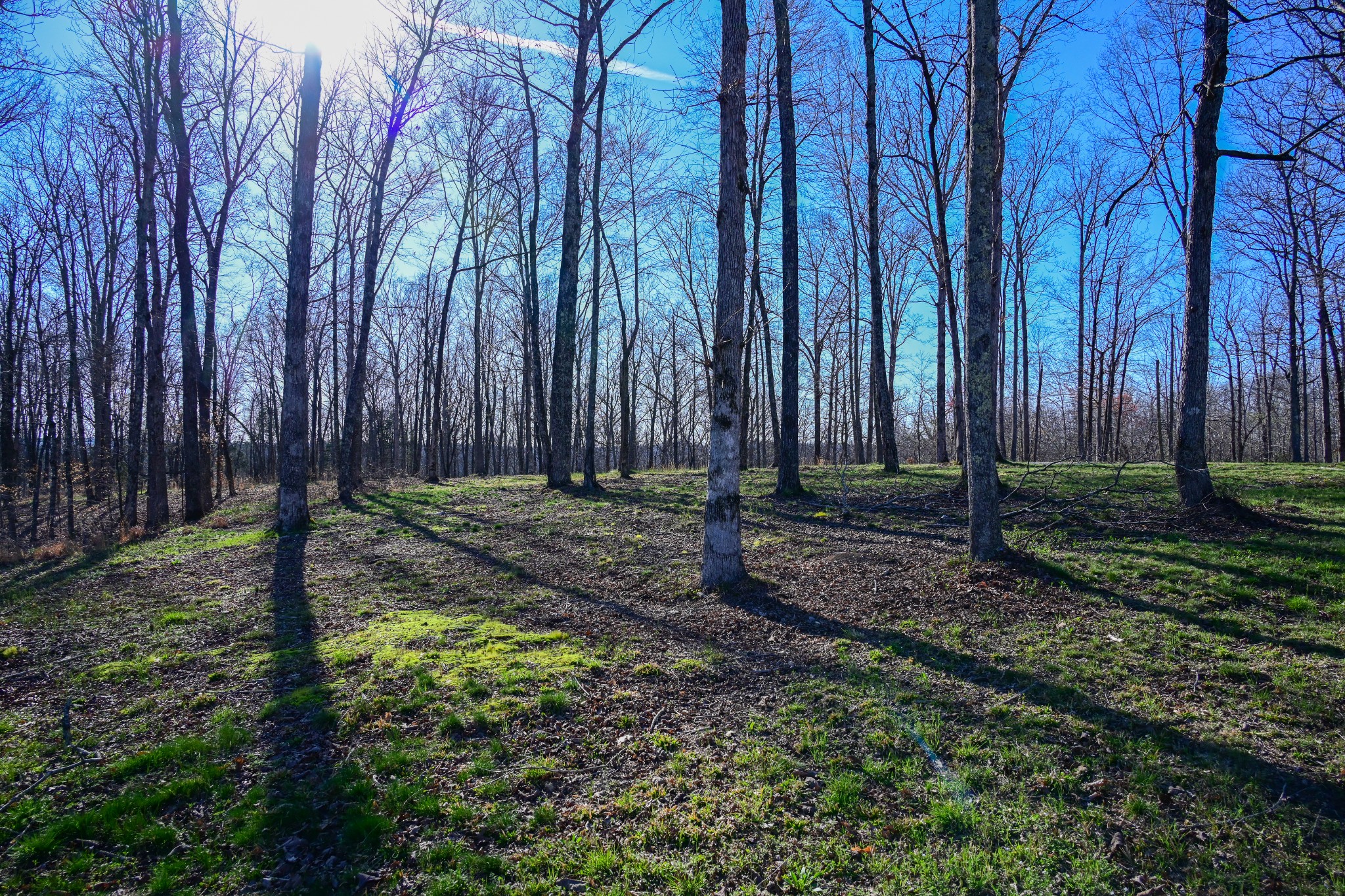 317 Highway 100 Centerville TN 37033