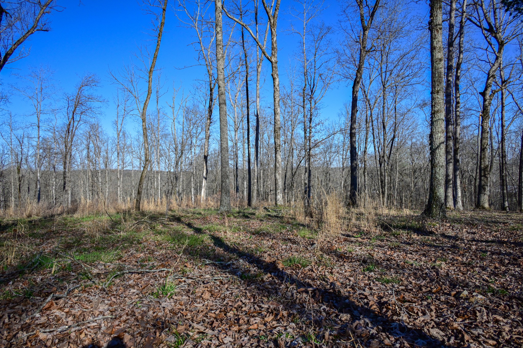 317 Highway 100 Centerville TN 37033
