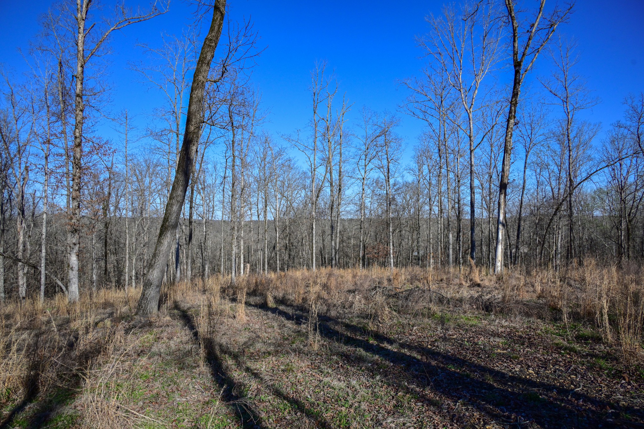 317 Highway 100 Centerville TN 37033