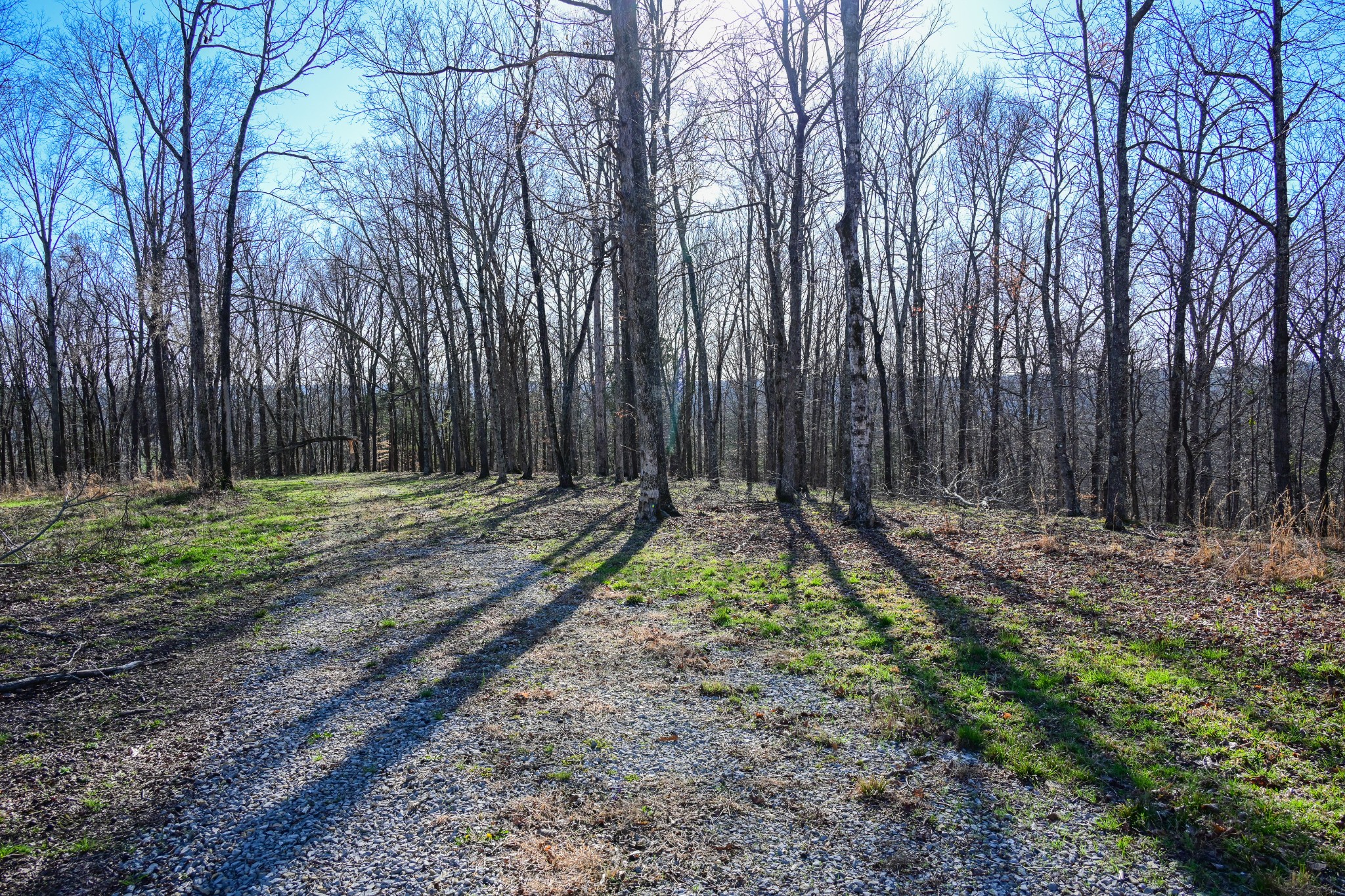 317 Highway 100 Centerville TN 37033