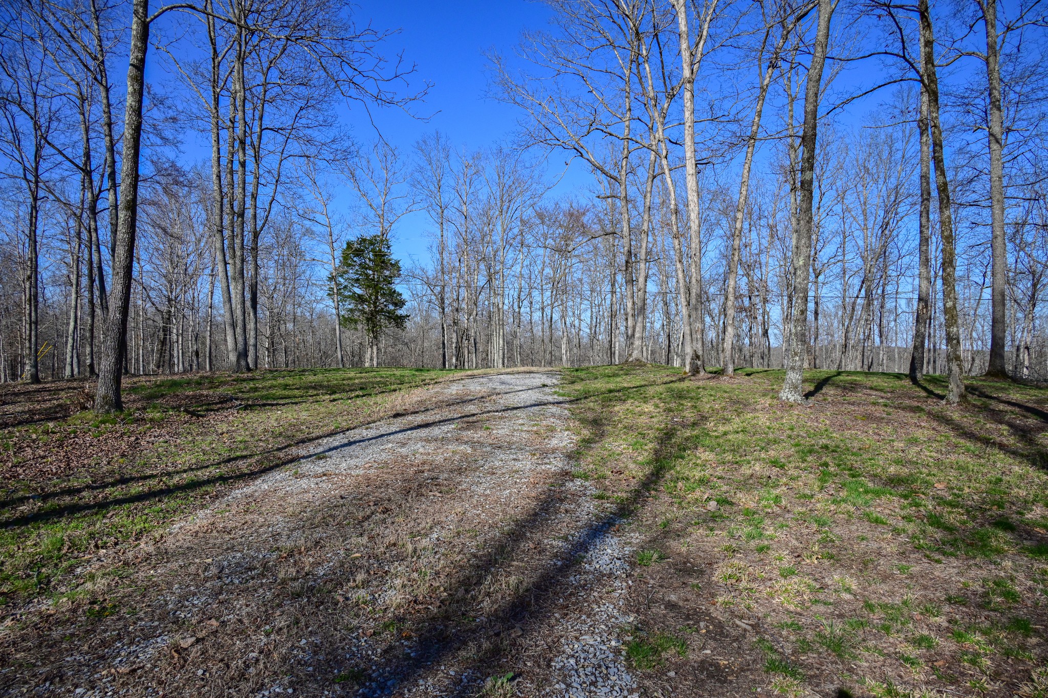317 Highway 100 Centerville TN 37033
