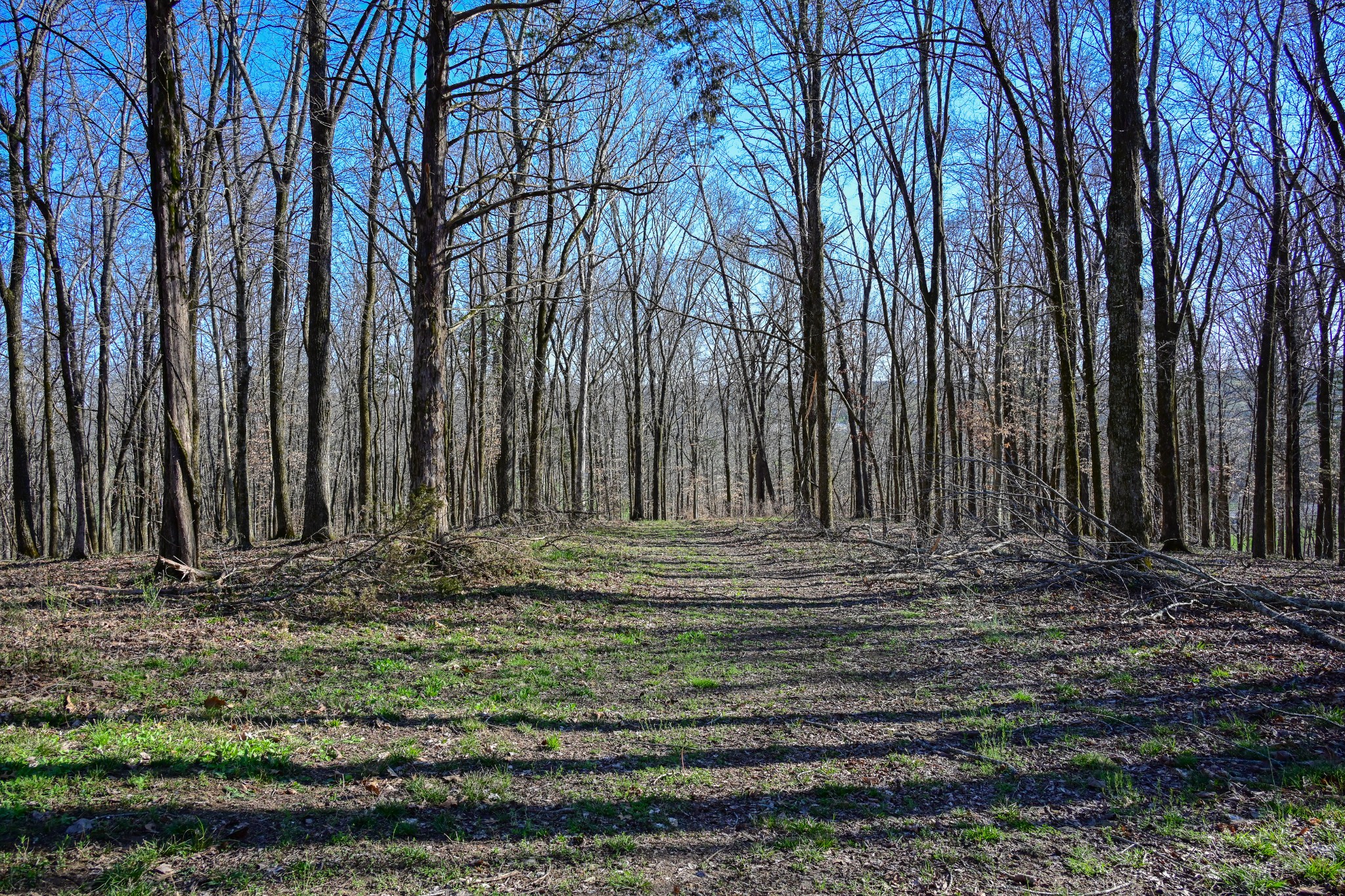 317 Highway 100 Centerville TN 37033