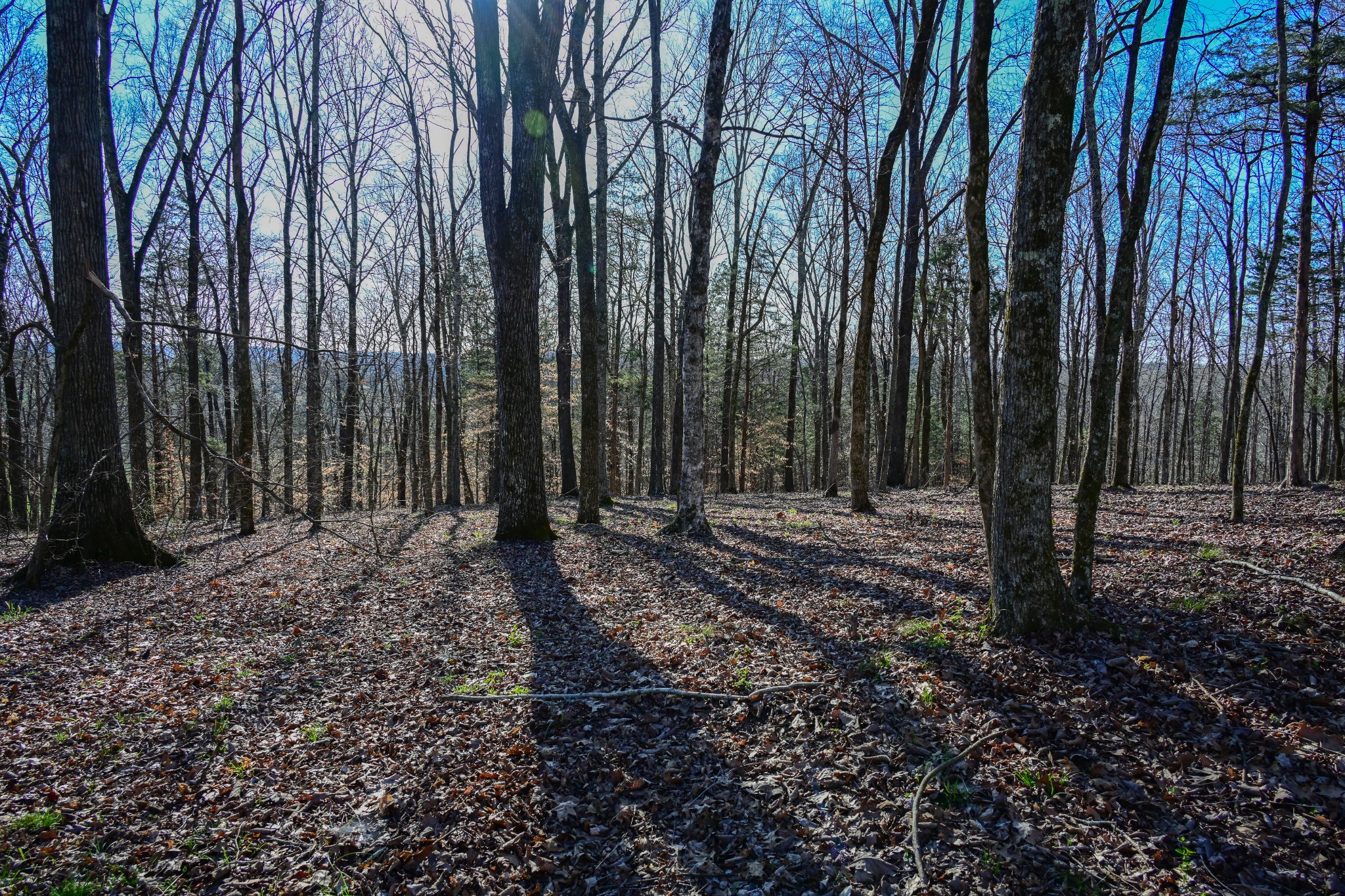 317 Highway 100 Centerville TN 37033
