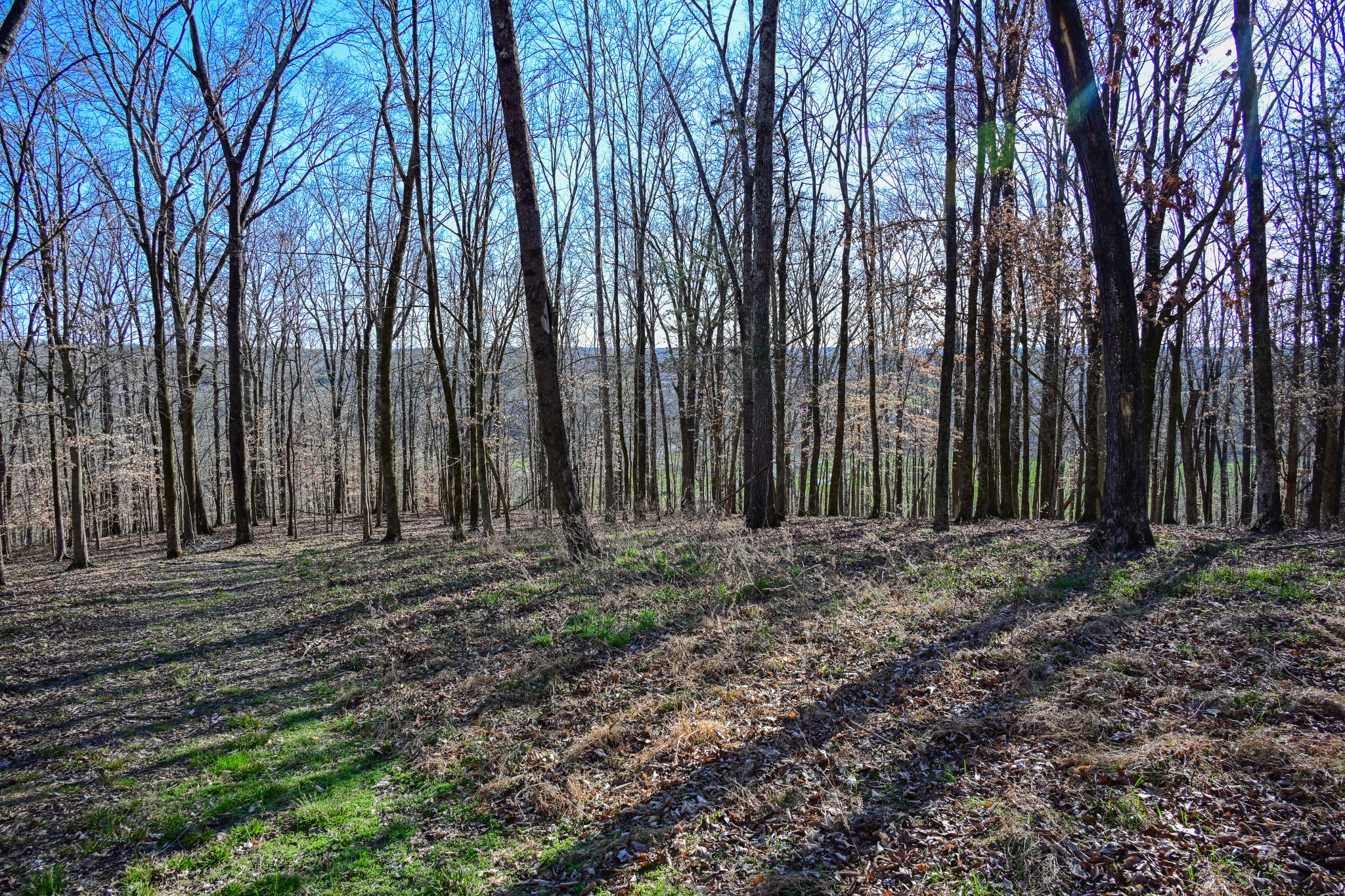 317 Highway 100 Centerville TN 37033