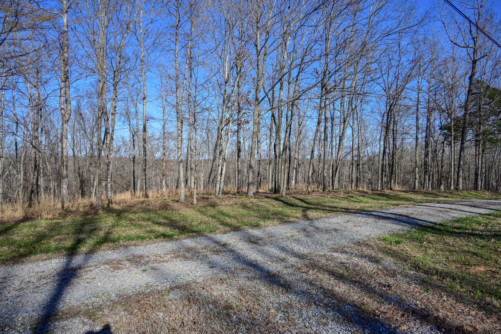 317 Highway 100 Centerville TN 37033