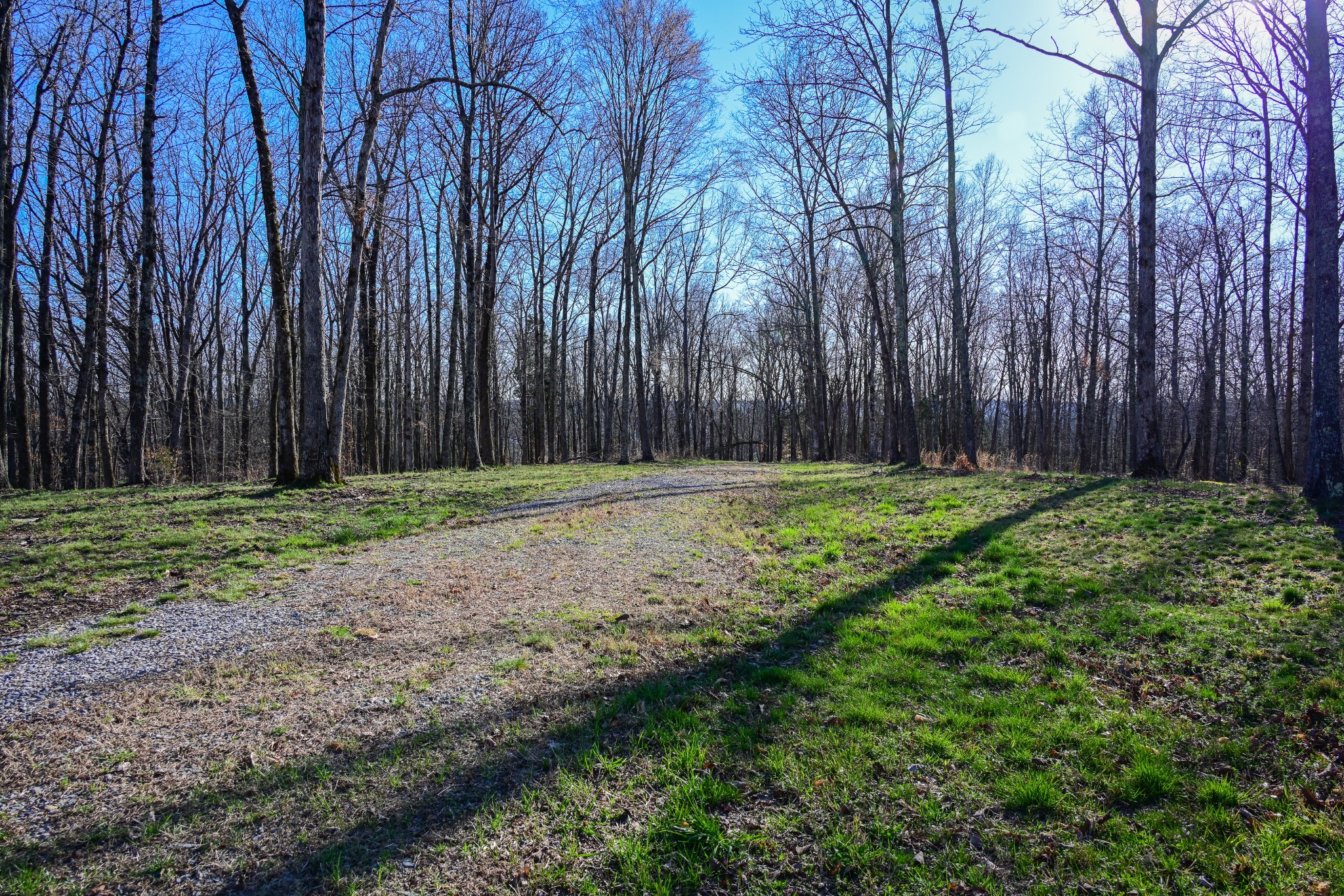 317 Highway 100 Centerville TN 37033