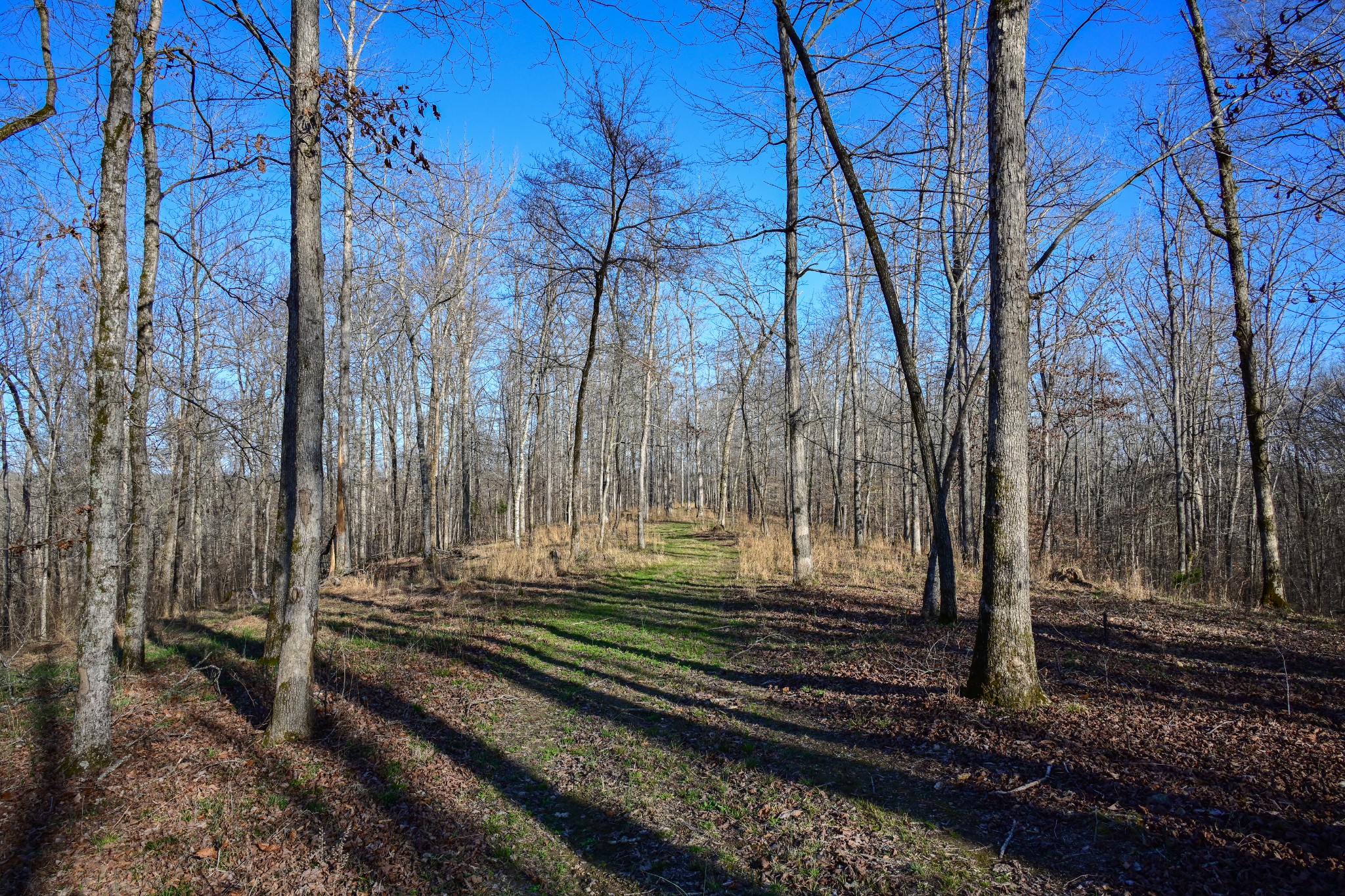 317 Highway 100 Centerville TN 37033